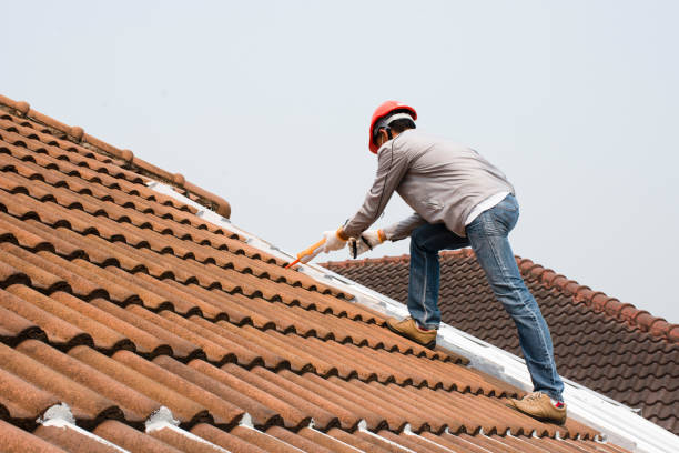 Best Roof Moss and Algae Removal  in Galion, OH